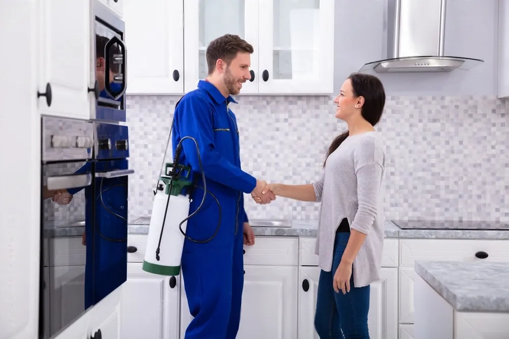 Pest Control Experts - Cypress Best Pest Pros | Cypress, CA | 657-300-3174